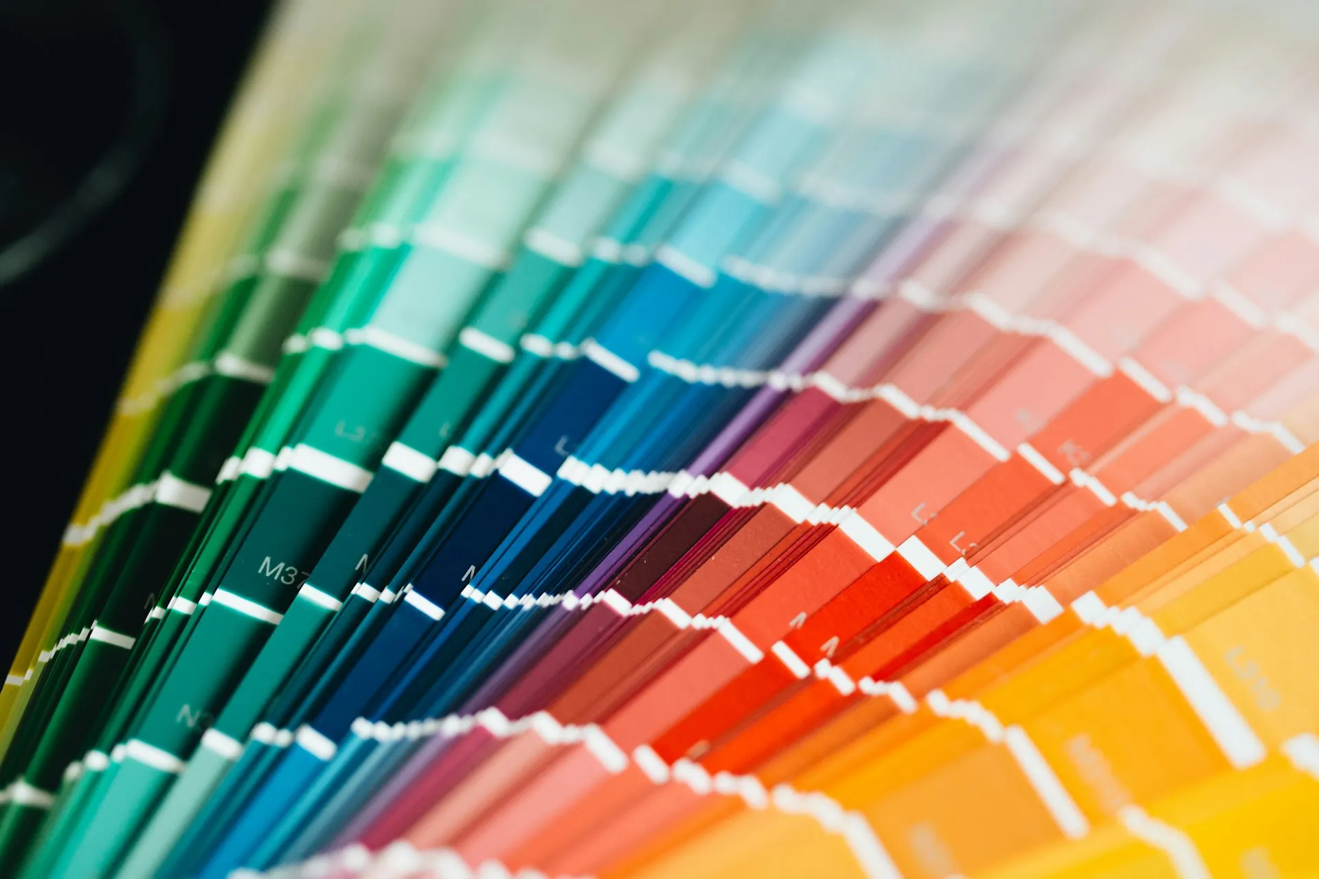 A palette of paint swatches in many colours